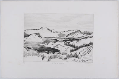 Camille COMBE : L'île d'Amrum, Gravure originale signée