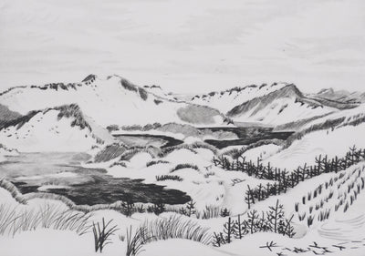 Camille COMBE : L'île d'Amrum, Gravure originale signée