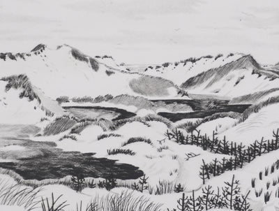 Camille COMBE : L'île d'Amrum, Gravure originale signée