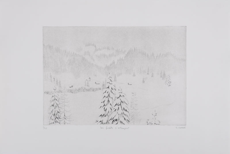 Camille COMBE : Les forêts s&
