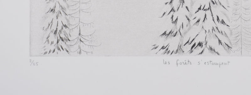 Camille COMBE : Les forêts s&