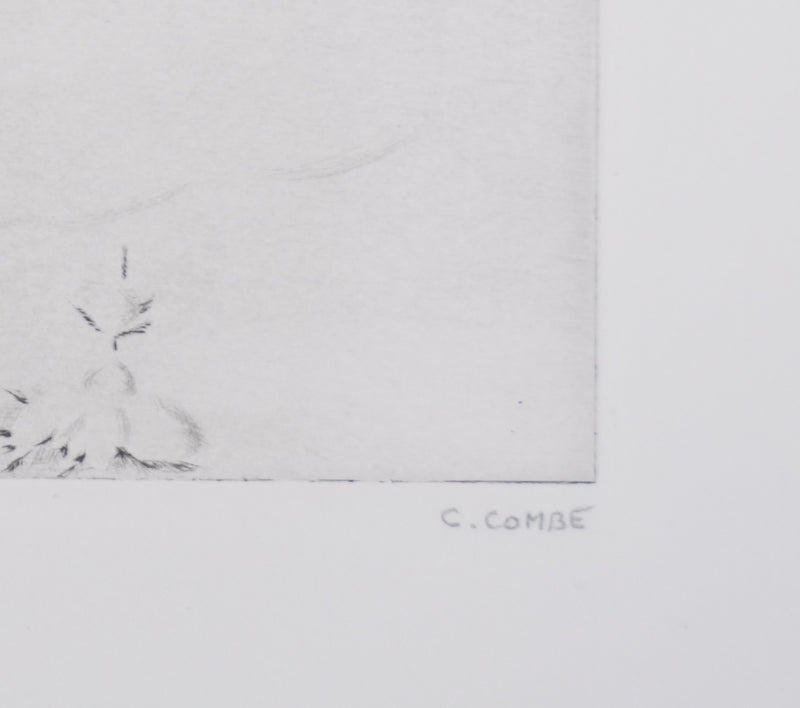Camille COMBE : Les forêts s&
