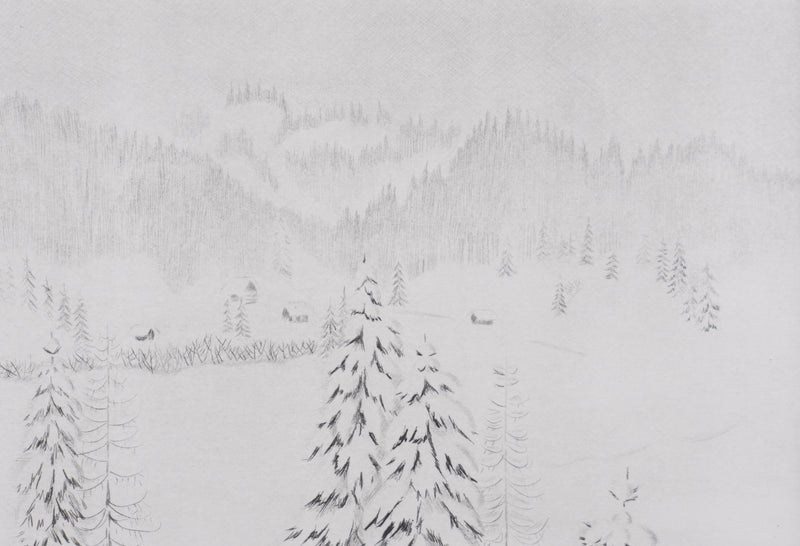 Camille COMBE : Les forêts s&