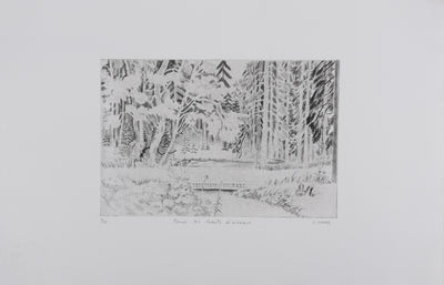 Camille COMBE : Parmi les chants d'oiseaux, Gravure originale signée