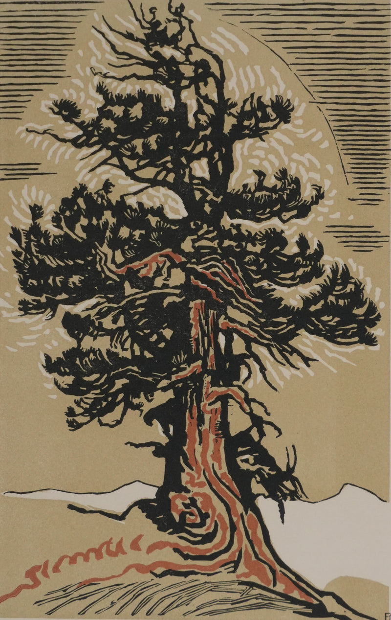 François-Louis SCHMIED : Le sapin (camaïeu), Gravure originale signée
