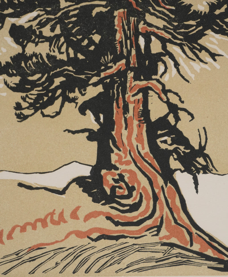 François-Louis SCHMIED : Le sapin (camaïeu), Gravure originale signée