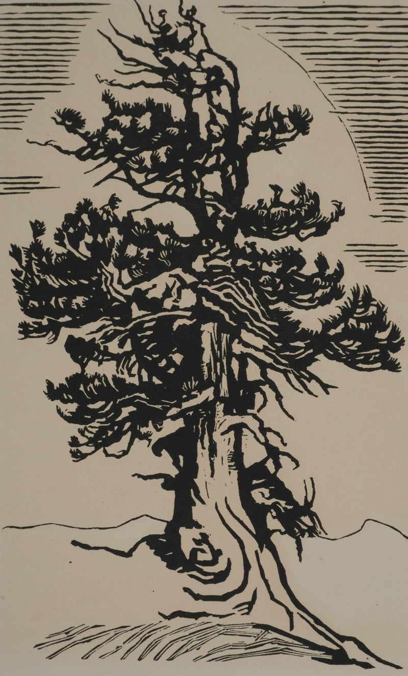 François-Louis SCHMIED : Le sapin, Gravure originale signée