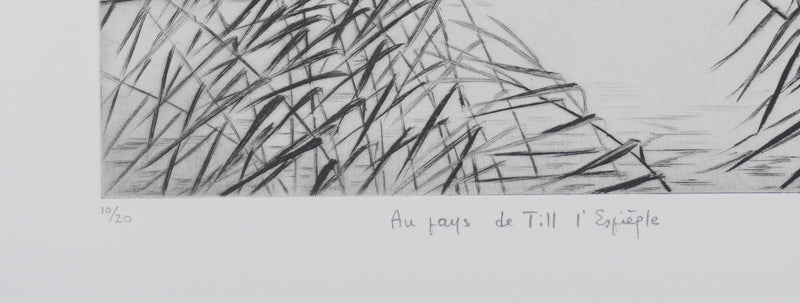 Camille COMBE : Au pays de Till l&