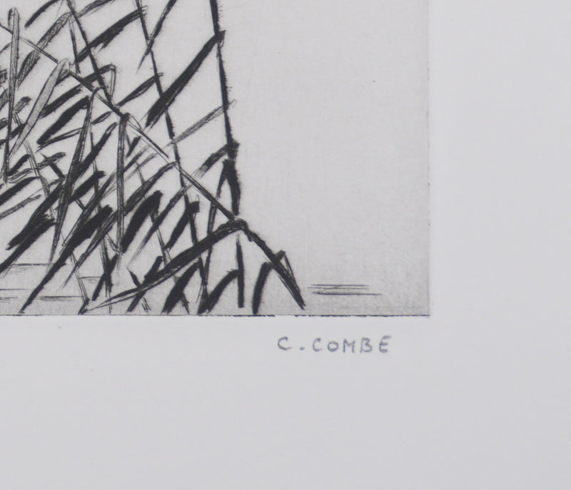 Camille COMBE : Au pays de Till l&