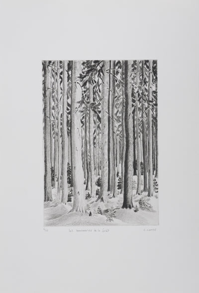 Camille COMBE : Les murmures de la forêt, Gravure originale signée