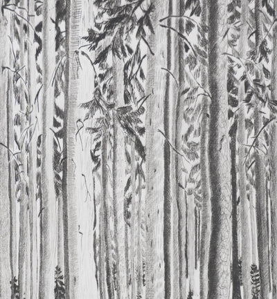 Camille COMBE : Les murmures de la forêt, Gravure originale signée