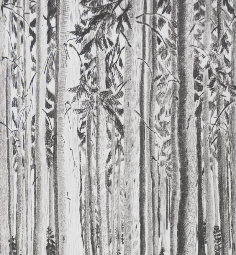 Camille COMBE : Les murmures de la forêt, Gravure originale signée