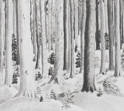 Camille COMBE : Les murmures de la forêt, Gravure originale signée