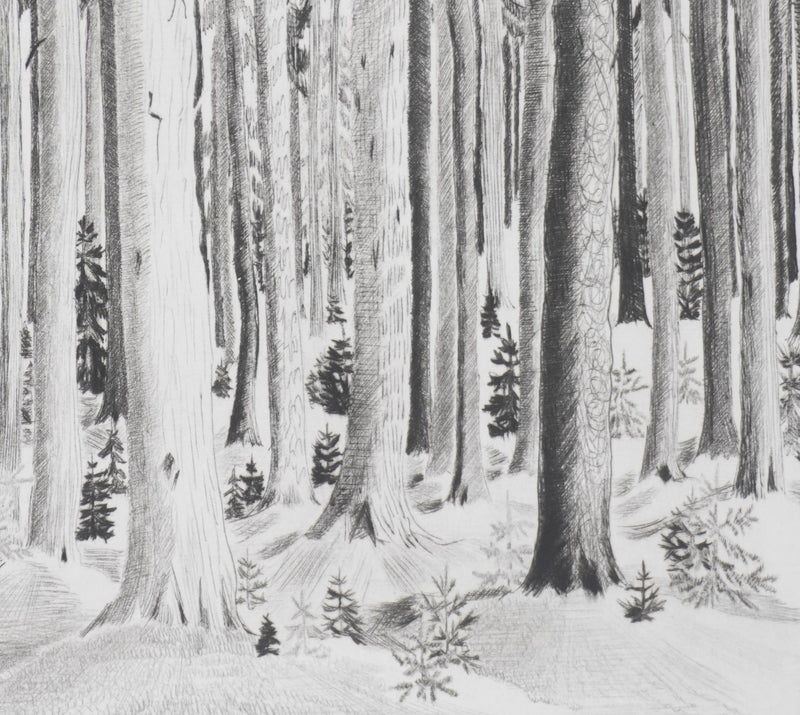 Camille COMBE : Les murmures de la forêt, Gravure originale signée
