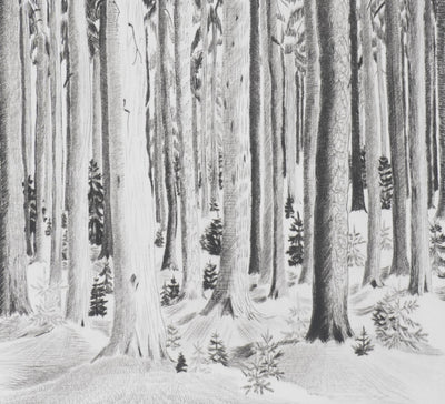 Camille COMBE : Les murmures de la forêt, Gravure originale signée