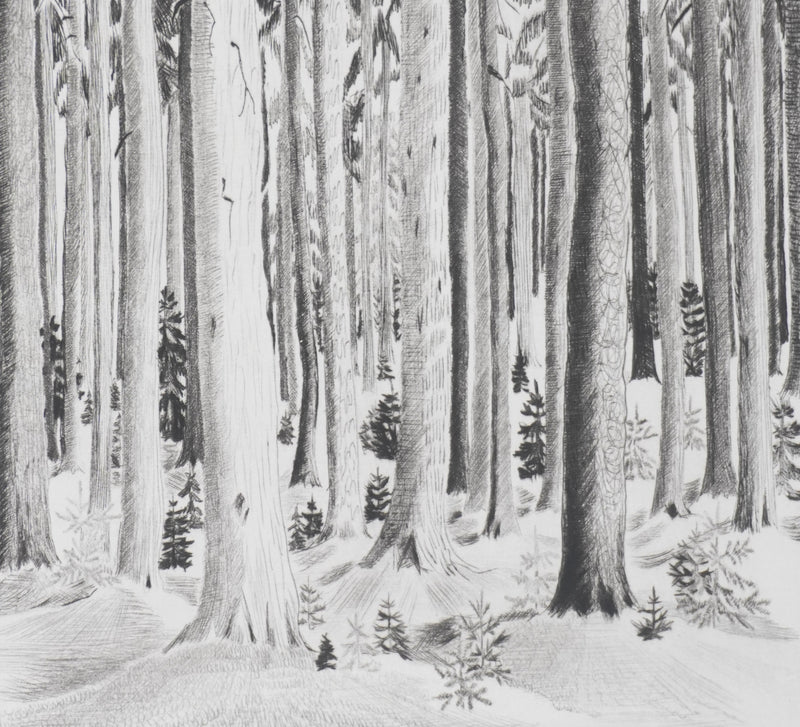 Camille COMBE : Les murmures de la forêt, Gravure originale signée