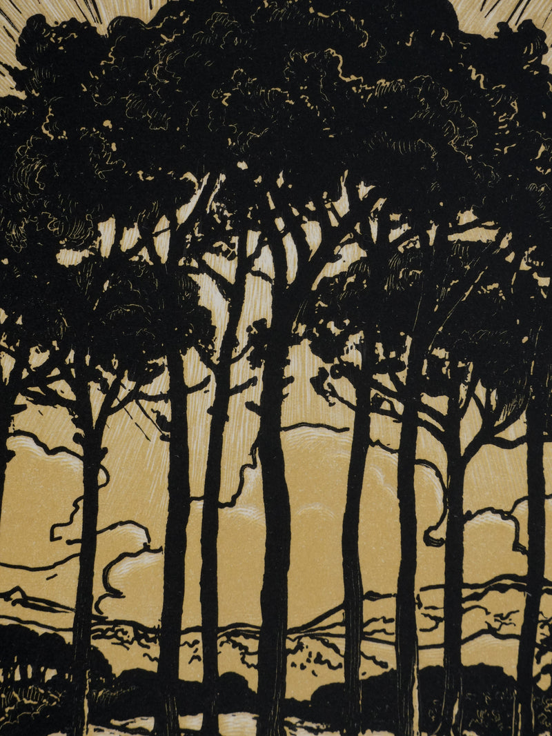 Pierre GUSMAN : La forêt de pins (camaïeu), Gravure originale signée