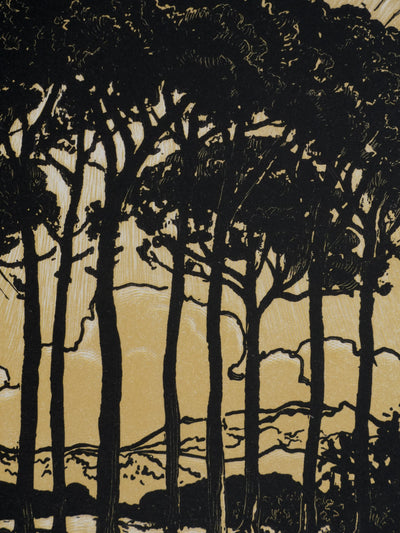 Pierre GUSMAN : La forêt de pins (camaïeu), Gravure originale signée