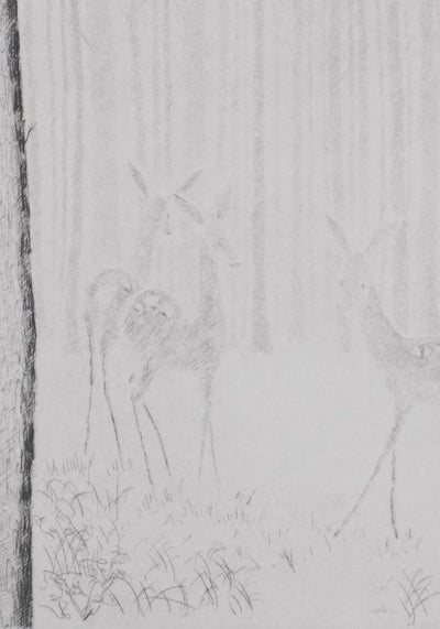 Camille COMBE : Soudain dans la clairière, Gravure originale signée