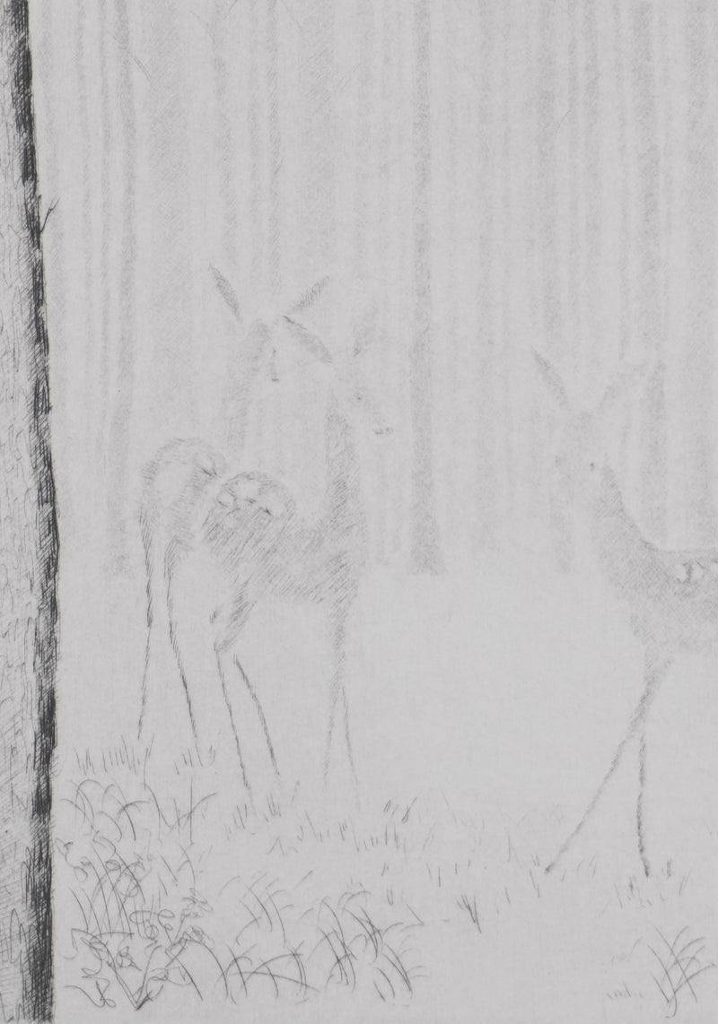 Camille COMBE : Soudain dans la clairière, Gravure originale signée