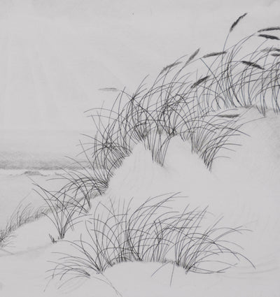 Camille COMBE : Lumière sur les dunes, Gravure originale signée