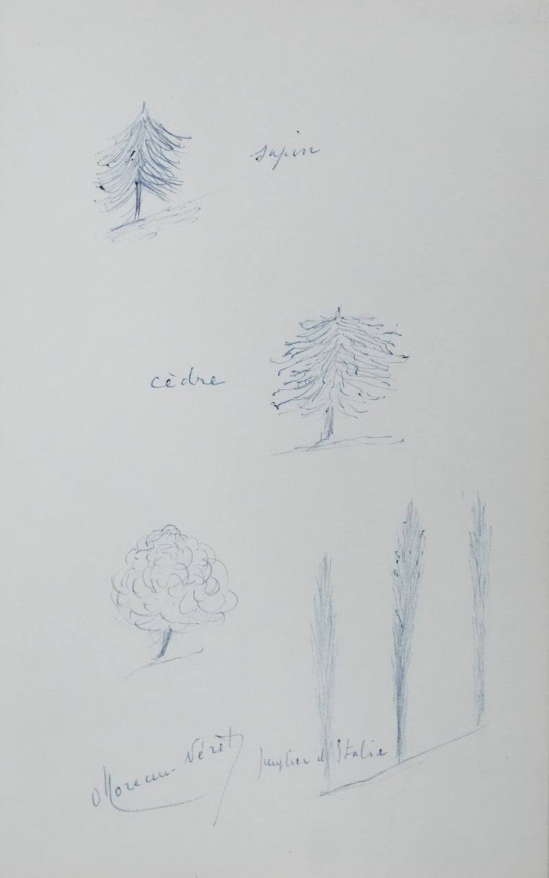 Olivier MOREAU-NERET : Le sapin, le cèdre et le peuplier d&