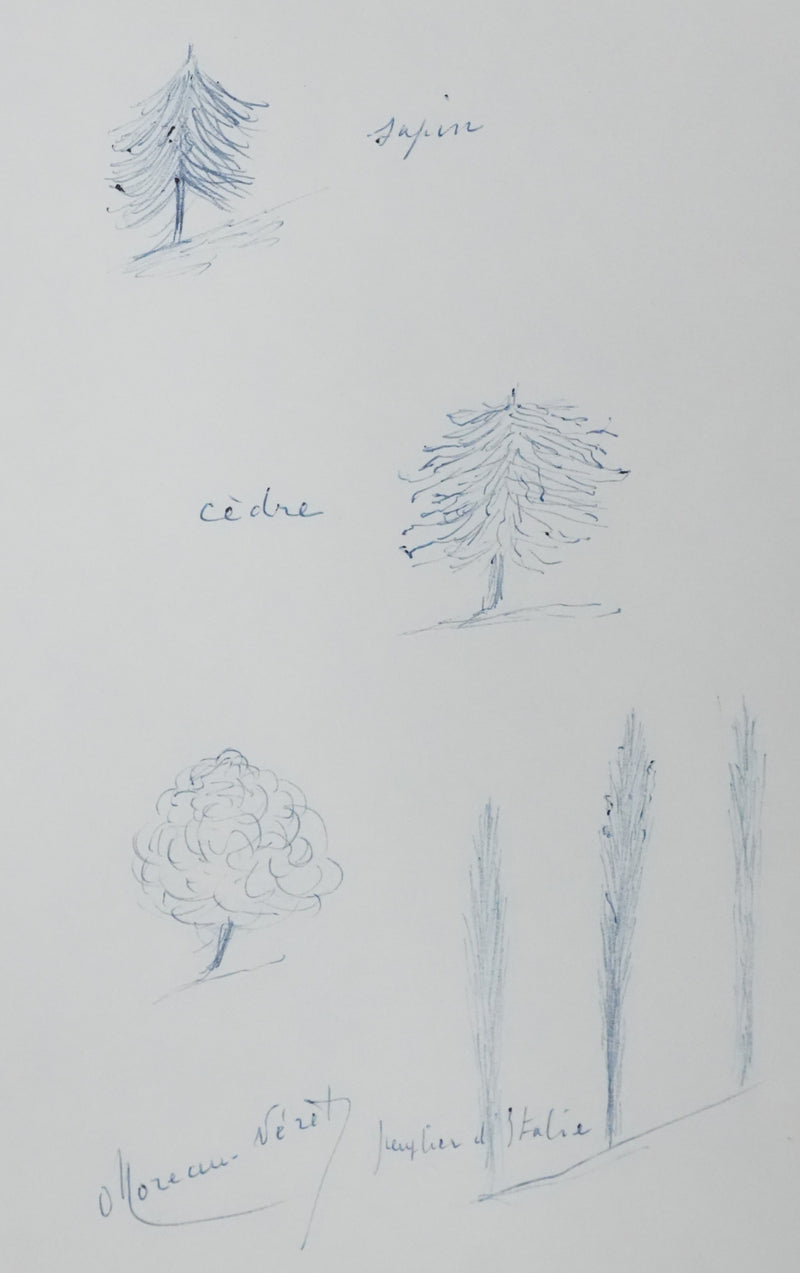 Olivier MOREAU-NERET : Le sapin, le cèdre et le peuplier d&