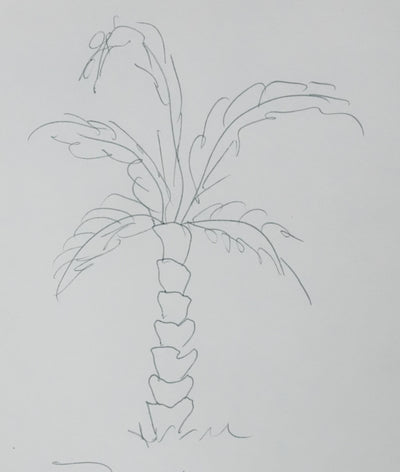 Thor  HEYERDAHL : Le joli palmier, Autographe et dessin original signé