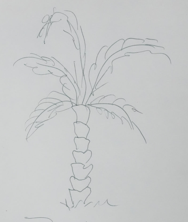 Thor  HEYERDAHL : Le joli palmier, Autographe et dessin original signé