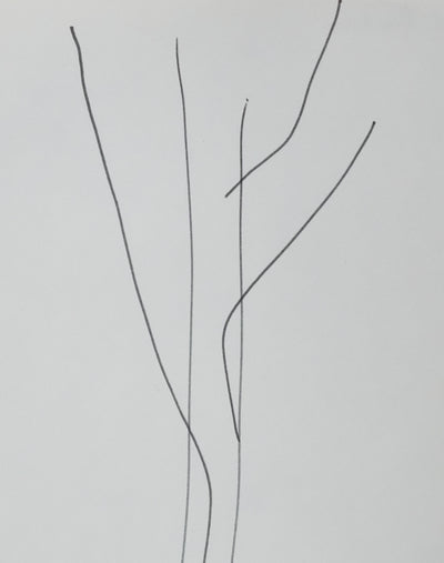 Michel RANDOM : Les tiges végétales, Autographe et dessin original signé