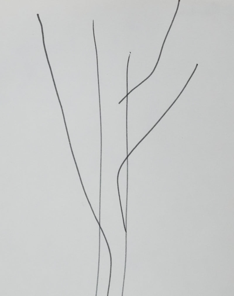 Michel RANDOM : Les tiges végétales, Autographe et dessin original signé