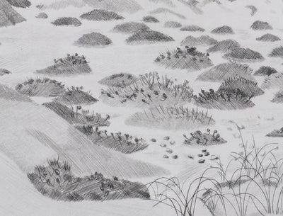 Camille COMBE : Les fantaisies des sables, Gravure originale signée