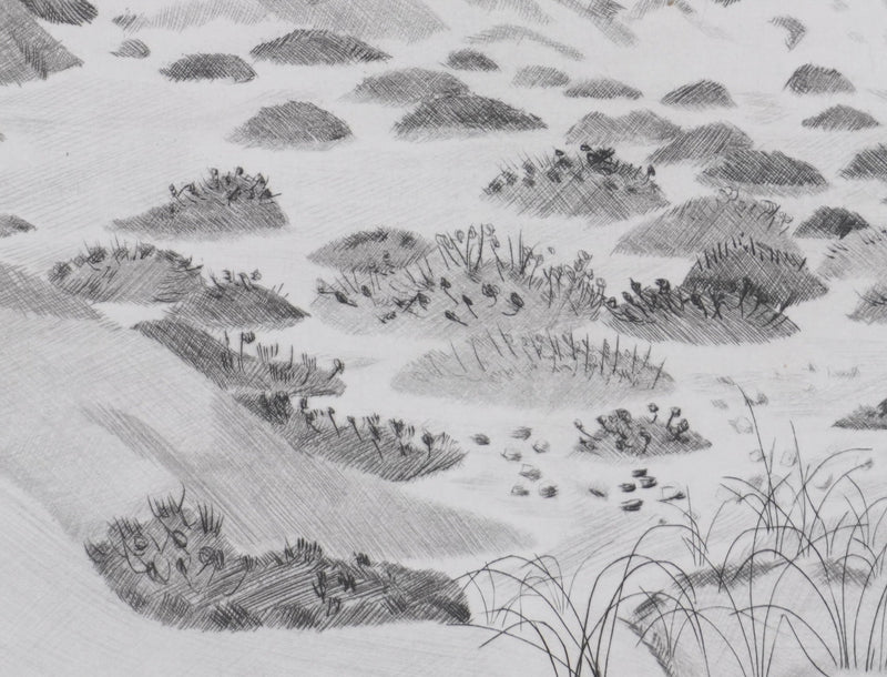 Camille COMBE : Les fantaisies des sables, Gravure originale signée