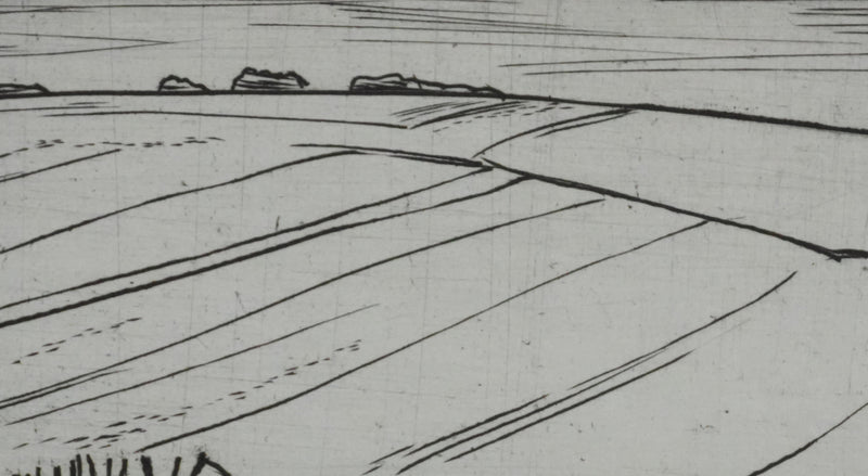 André JACQUEMIN : Les champs de blé en hiver, Gravure originale signée