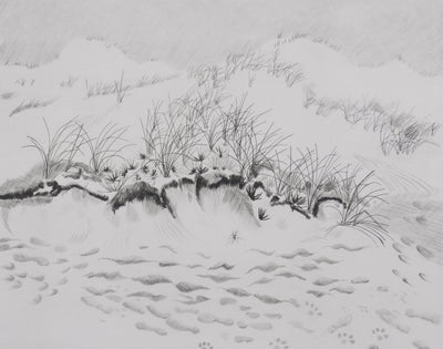 Camille COMBE : A l'orée des dunes, Gravure originale signée