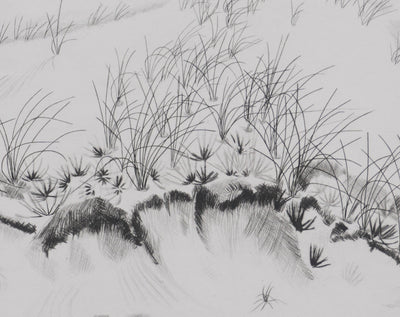 Camille COMBE : A l'orée des dunes, Gravure originale signée