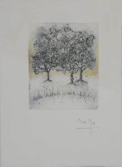 Mija ALLOUCHE : Les chênes au lever de soleil, Gravure originale signée