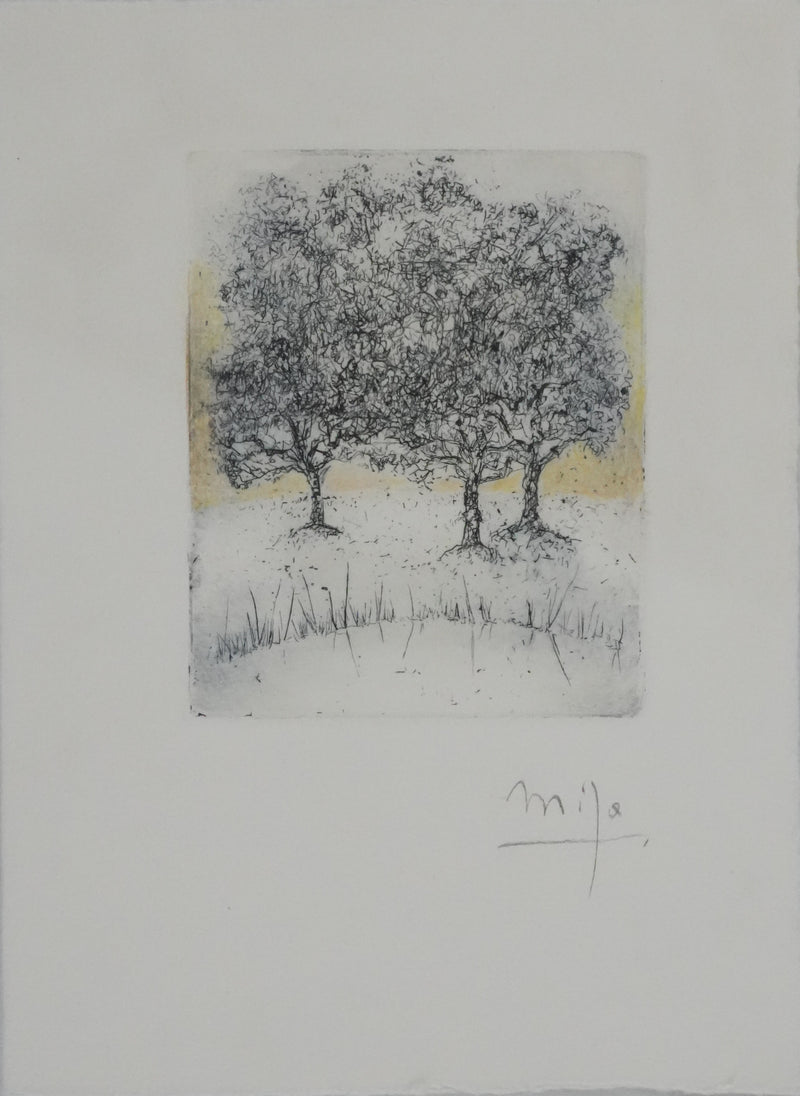 Mija ALLOUCHE : Les chênes au lever de soleil, Gravure originale signée