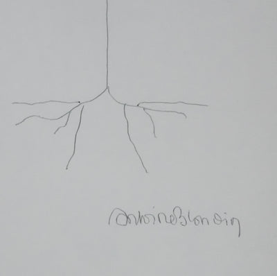 Antoine BLONDIN : L'arbre souriant, Autographe et dessin original signé