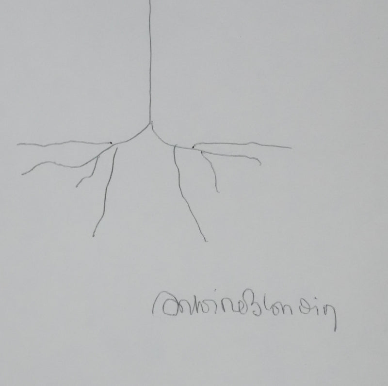 Antoine BLONDIN : L&