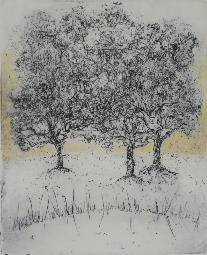 Mija ALLOUCHE : Les chênes au lever de soleil, Gravure originale signée