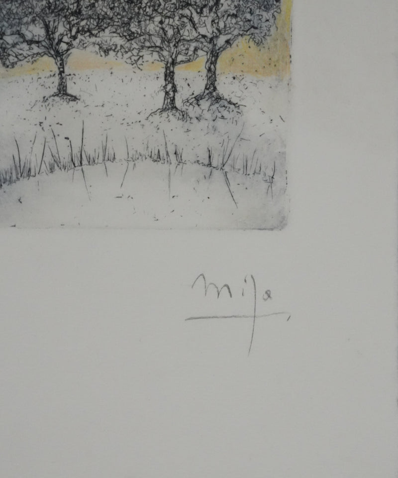 Mija ALLOUCHE : Les chênes au lever de soleil, Gravure originale signée