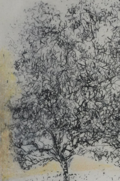 Mija ALLOUCHE : Les chênes au lever de soleil, Gravure originale signée