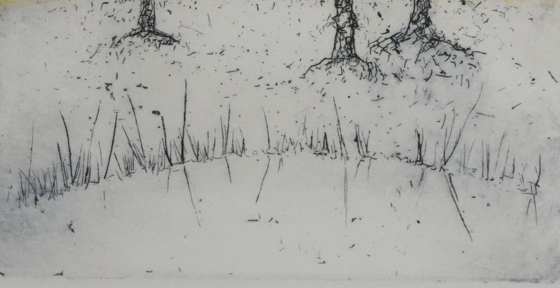 Mija ALLOUCHE : Les chênes au lever de soleil, Gravure originale signée