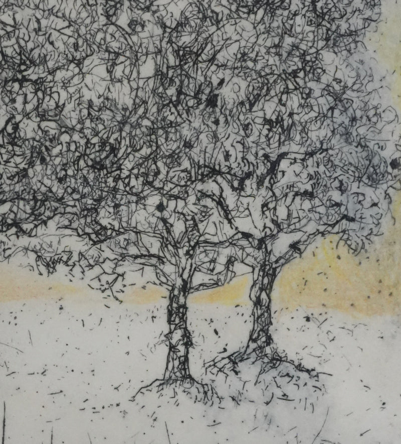 Mija ALLOUCHE : Les chênes au lever de soleil, Gravure originale signée