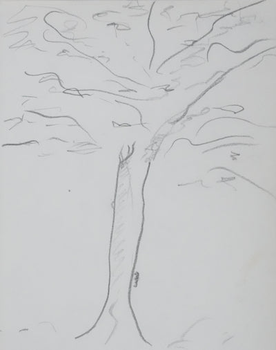 Michel ROBIDA : Arbre à l'ombre grise, Autographe et dessin original signé