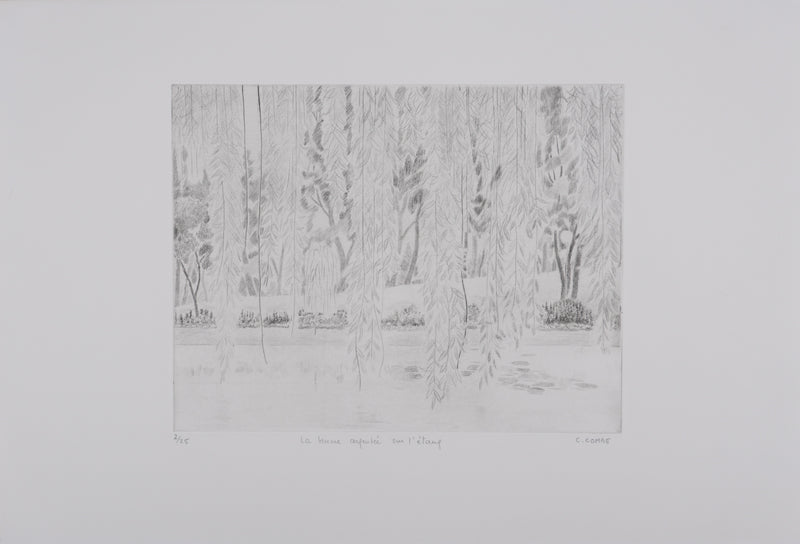 Camille COMBE : La brume argentée sur l&