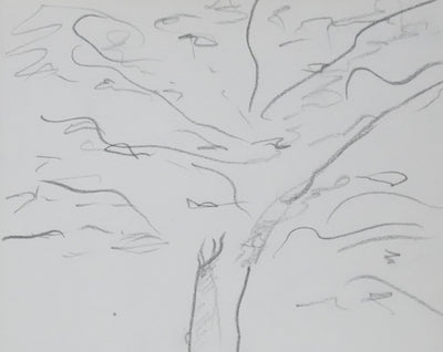 Michel ROBIDA : Arbre à l'ombre grise, Autographe et dessin original signé