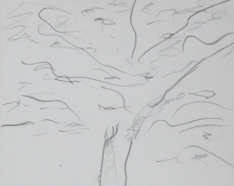 Michel ROBIDA : Arbre à l&