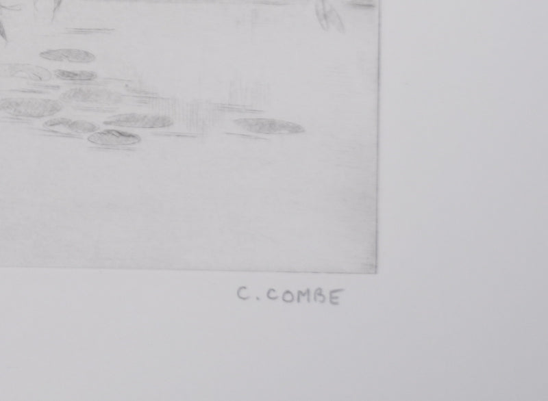 Camille COMBE : La brume argentée sur l&